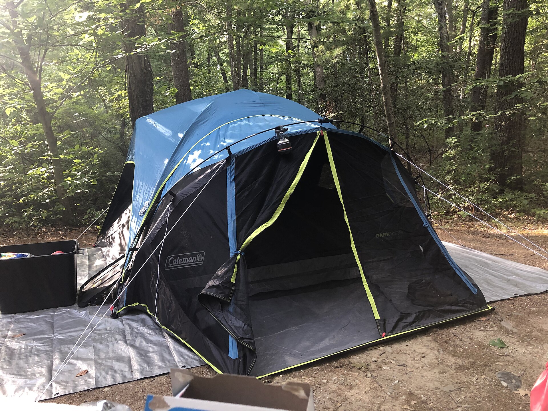 A tent pitched in a forest clearing at sunrise with camping gear laid out nearby