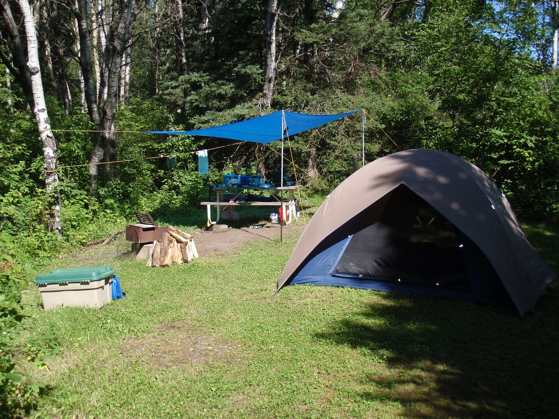 A green dome tent set up in a forest during light rain