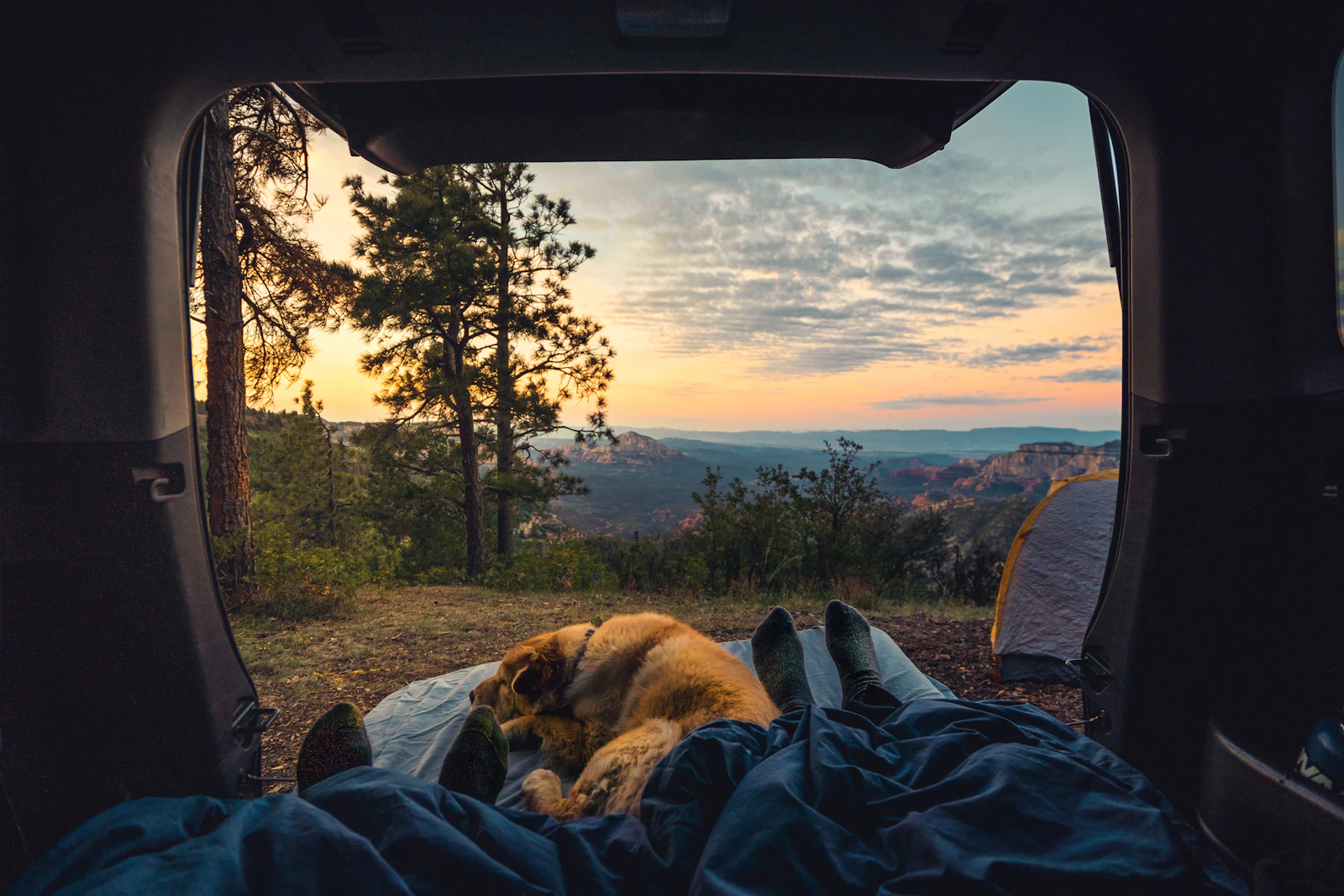 View from the open boot of a car at dusk over a valley, with camp bedding and a dog