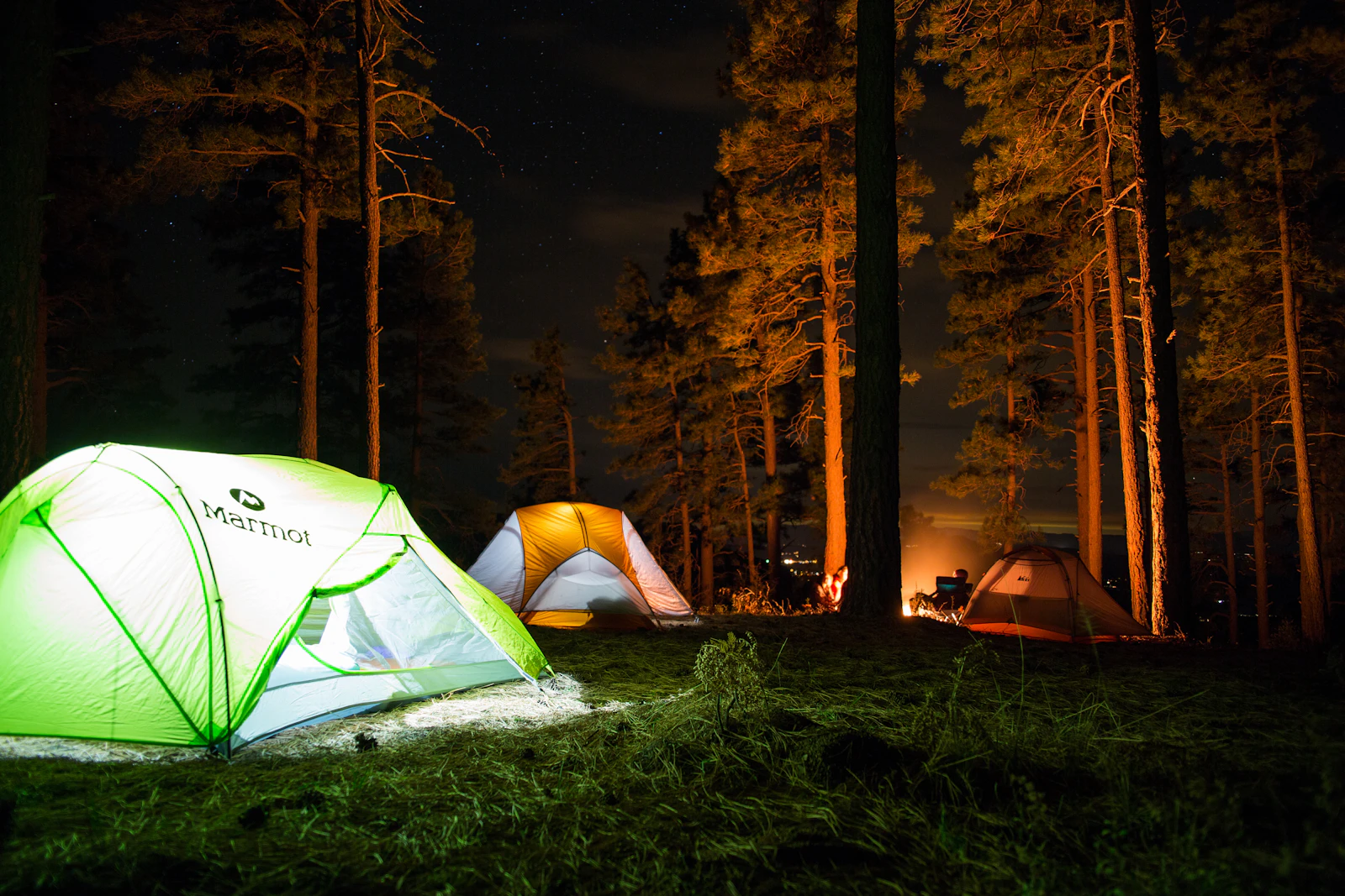 Two tents glowing from lights inside, pitched among tall pines under a night sky