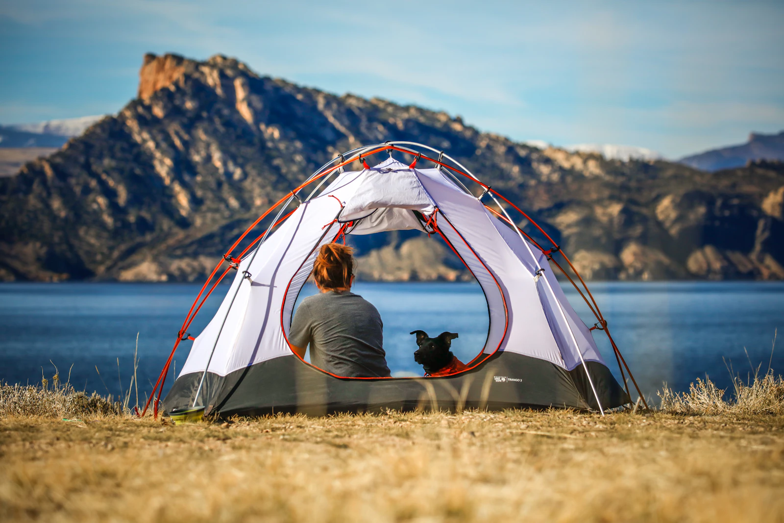 Person sitting with a dog in the doorway of a pitched tent looking out over a lake