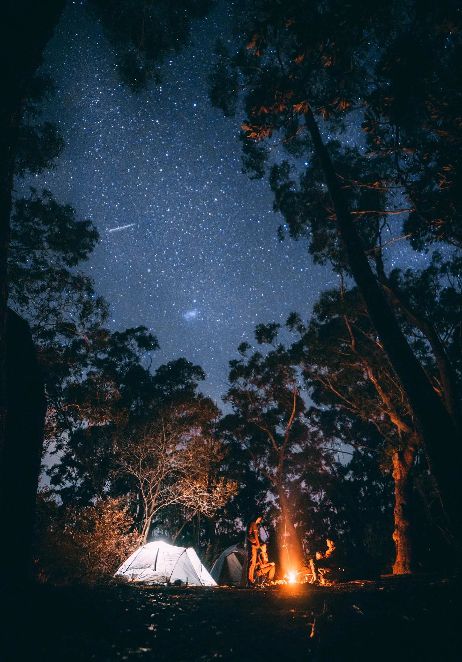 Campfire burning beside a lit tent in a forest under a sky full of stars